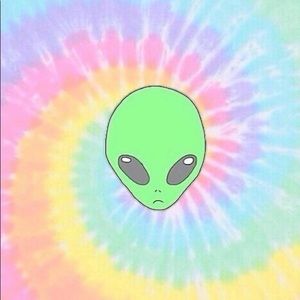 Meet your Posher, Kamya